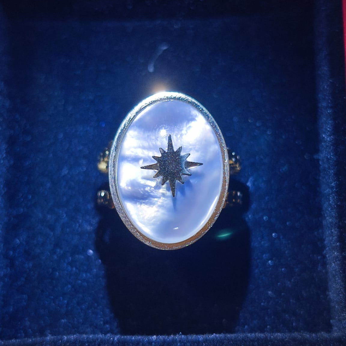 Polaris – Ayarlanabilir Çelik Yüzük | Chérie cherieonline